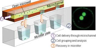 I designed and built a simple live trap release system so one could safely open and release a live trap from behind the trap and away from the animal's exit. Inverted Open Microwells For Cell Trapping Cell Aggregate Formation And Parallel Recovery Of Live Cells Lab On A Chip Rsc Publishing