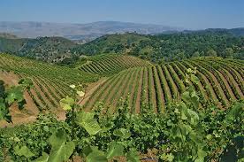 Find what to do today, this weekend, or in may. Calera Sold To Duckhorn New Owner For California Pinot Maker Decanter