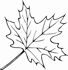 Autumn Leaf Coloring Pages Coloring Pages Gallery In 2020 Fall Leaves Coloring Pages Leaf Coloring Page Free Coloring Pictures