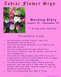 Morning Glory August 22 September 22 Virgo Flower Zodiac Zodiac Meanings