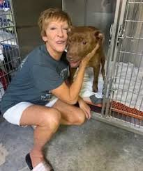Our dogs are placed in loving foster homes. New Hope Animal Rescue Center Emergency Medical Grant Report Petfinder Foundation