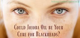 What are the benefits of using jojoba oil as antimicrobial? Could Jojoba Oil Be Your Cure For Blackheads Holistic Health Herbalist