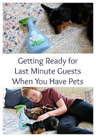 Getting Rid Of Pet Odors And Messes Is Easy With Febreze Fabric Pet Odor Eliminator And Swiffer Available At Kroger Cleaning Pet Odor Eliminator Cleaning Hacks