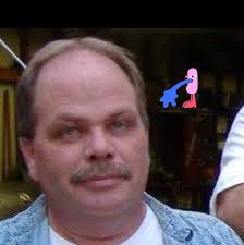 Mustang performance upgrade recommendations?