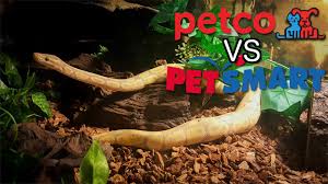 If you're thinking of getting a pet snake, and you have to keep to a budget, you should pick one of the cheaper snakes available. Petco Vs Petsmart Ball Python Care Guides Youtube