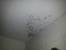 Dust On Popcorn Ceiling