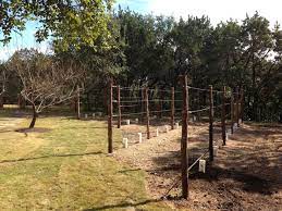 Browse 141 photos of cedar posts. Small Backyard Vineyard Raw Cedar Posts Rustic Garden Austin By Perfect Lawns And Landworks Of Austin Houzz