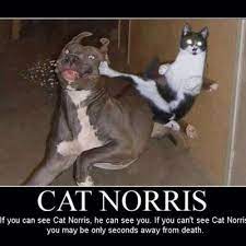 Published on february 15, 2016, under funny. Weird But Funny On Twitter Keep Fighting For Her One Day She Will Realize That No One Will Love Her More Than You Do Nevergiveup