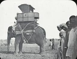 Indian Elephant with Howdah circa 1890s ...