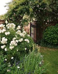 Nz birds fern and flower gifts. Upton Oaks Garden Rapaura Blenheim Nz Garden Garden Gates Plants