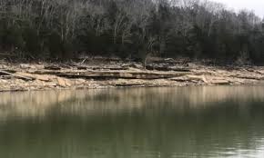 Maybe you would like to learn more about one of these? Danger Kelly Wins At South Holston Danger Kelly