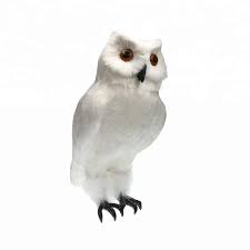 Aug 29, 2019 · fake owls might work if you need to keep birds or animals away from somewhere for just a day or two. Rustic Decorative White Feather Owl Figurine For Interior Home Decor Buy White Bird Figurines Home Decoration Owl Owl Decoy Product On Alibaba Com