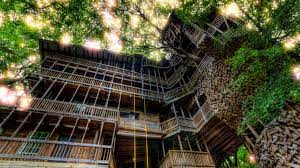 Check spelling or type a new query. The World S Largest Treehouse Burned To The Ground In Less Than 15 Minutes Architectural Digest