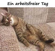 Weitere ideen zu sonntagsgrüße, sonntag, guten morgen lustig. Ruhetag Lustige Spruche Beste Wochenende Lustige Xdpedia De 2