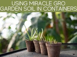 It likes well drained soil in. Can I Use Miracle Gro Garden Soil In Pots Greenhouse Today