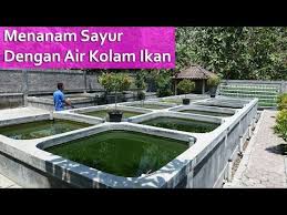 Aquaponik Budidaya Ikan Lele Dan Sayur Di Jeron Green Farm Boyolali Youtube Di 2020 Kolam Ikan Hidroponik Menanam