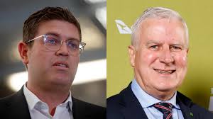 Well-preserved Stegosaurus fossil heading to auction