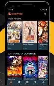 For those who do not know much about this, anime websites and applications are an online collection of animated movies and cartoons. 11 Best Anime Streaming Apps For 2021 Android Ios Free Apps For Android And Ios