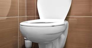 floating poop: 6 causes and when to see
