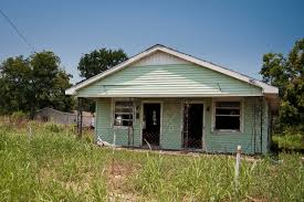 Understanding The Katrina X National Geographic Society Newsroom