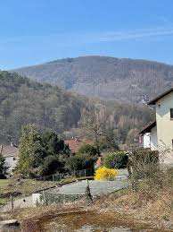 immobilien in neckarsteinach darsberg 8 aktuelle angebote im 1a immobilienmarkt de