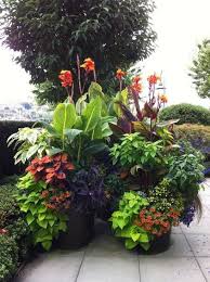 9 Tips For Creating An Artful Container Garden Garden Containers Tropical Landscaping Tropical Garden