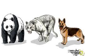 First, we draw the head which is an inverted u shaped with a snout on the top left. How To Draw Realistic Animals Drawingnow