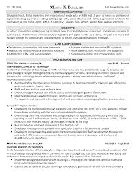 digital marketing associate cv november