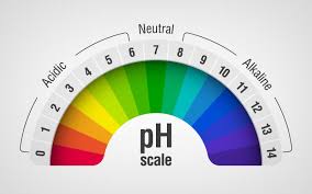 We did not find results for: Perfecting The Ph Of Your Hydroponic Nutrient Solution