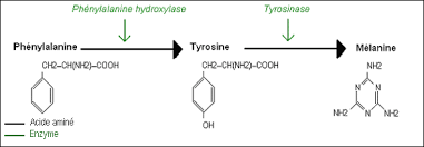 Infos - Le saviez-vous