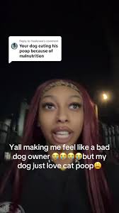 Why Is My Dog Eating Cat Litter