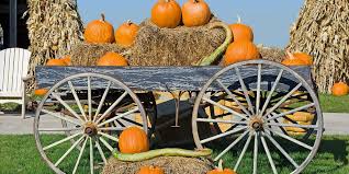 Maybe you would like to learn more about one of these? The Best Pumpkin Patches Near Philly Mapped Curbed Philly