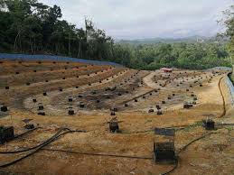 Cara menanam durian,teritorial tanaman,sambung pucuk durian,durian kaki ganda,cantuman durian dewasa,planting durian. Jarak Tanam Durian Yang Disyorkan Dalam Satu Ekar 43 560 Kps My Info Berita