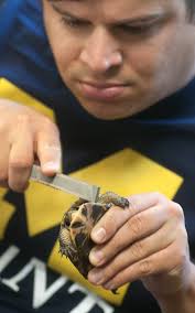 Baby turtles raised at Detroit Zoo released in Saginaw County national  wildlife refuge