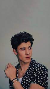 Follow me for daily shawn mendes wallpaper :) wallpaper rules below ⬇️. Aesthetic Shawn Mendes Wallpaper Hd Download Wallpaper