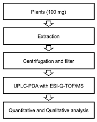 Stephens convention center 5555 n. Molecules Free Full Text Establishment Of A Uplc Pda Esi Q Tof Ms Based Approach For The Simultaneous Analysis Of Multiple Phenolic Compounds In Amaranth A Cruentus And A Tricolor Html