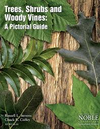 There are more than 2,400 different native species of plants found in oklahoma, including more than 330 native species of trees, shrubs and woody vines. Plant Image Gallery