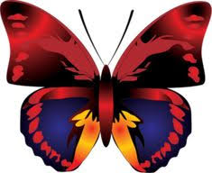  7 Ide Animasi Animasi Menggambar Kupu Kupu Kupu Kupu