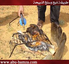 بالصور طريقة ذبح وسلخ الذبيحة مدونة أبو حمزة المدني