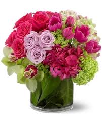 Floral designsour fresh new collection of luxury floral arrangements! Greenwich Blooms Florist Inc Flowers In Greenwich Ct