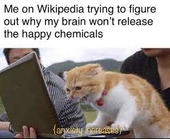 I Need The Happy Chemz Best Funny Photos Funny Photos Daily Funny