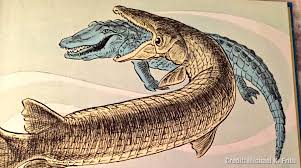 How to draw a dolphin easy step by step? Dr Solomon David On Twitter Behold The Best Illustration Of An Alligator Gar Alligator You Ll Ever See From Fish Do The Strangest Things Https T Co Jwphrwuzrz Via Eatguineapigs Merry Fishmas Https T Co 9jz6zpwdti