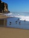Image result for half moon bay coast pictures