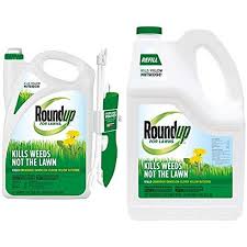 Gardeners are often surprised how quickly these weeds can seemingly some of the more common annual winter weeds in the midwest are henbit, deadnettle, common chickweed, annual bluegrass, wild mustards, prickly. 3 Easy Tips For How To Kill Weeds In Winter Pepper S Home Garden