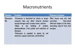 Macronutrients are required in macro, meaning large amounts, and micronutrients are only required in micro, or small amounts. 6 9 Macronutrients And Micronutrients In Plants