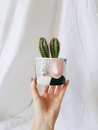 Pin On Flower