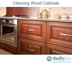 Spray the cabinets, then wipe them down with a slightly damp sponge after. Cleaning Wood Cabinets Cleaning Wood Clean Kitchen Cabinets Cleaning Wood Cabinets
