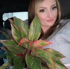 Thought I'd share this beauty with you. It smells just as beautiful.