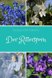 Gemeinsam Im Garten In 2020 Garten Pflanzen Pflanzen Rittersporn