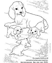 They're so cute and cuddly and fun. Real Animal Baby Coloring Pages Colouring Page B105 Academy